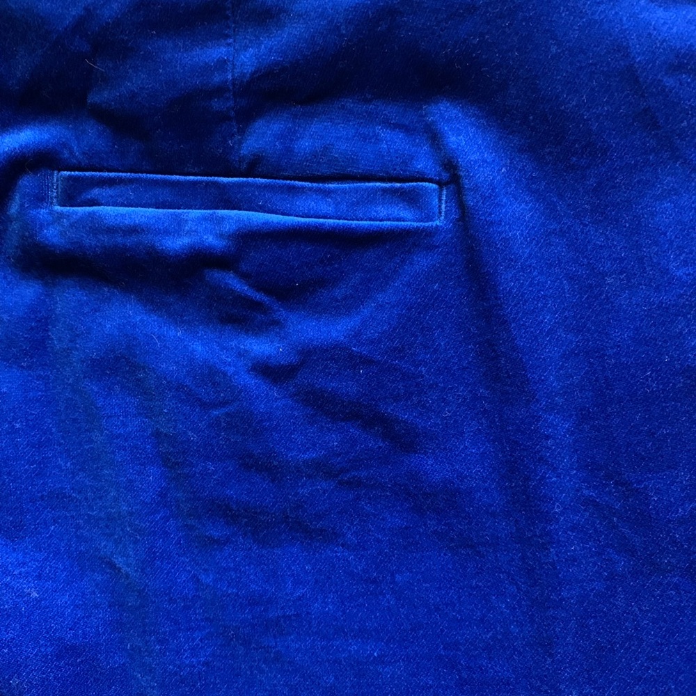 Beautiful rich blue velvet skinny pant - Picture 5 of 5